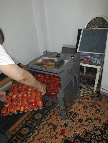 ECO food dehydrators – screenshot 4