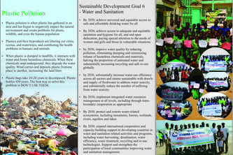Setting in Environmental Health promotion 
