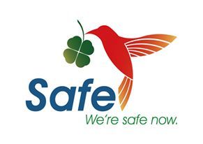 SAFE drone delivery – screenshot 2