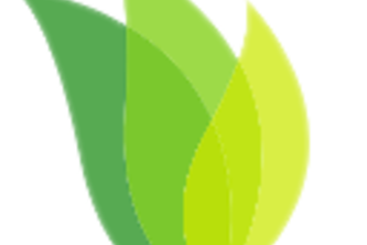 Natural remedies against Covid19 