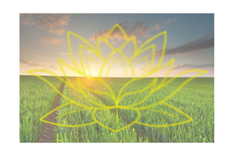 TerraForX Terraforming