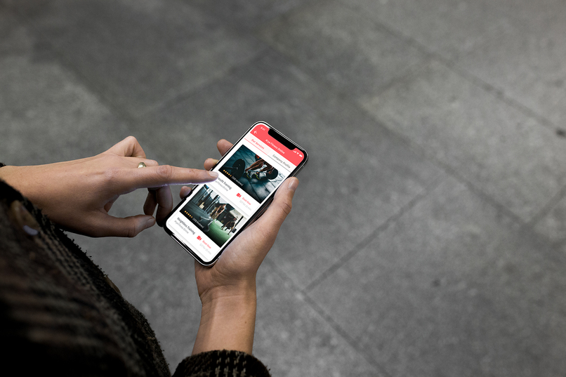 Expert Republic (Formerly Serw) – screenshot 6