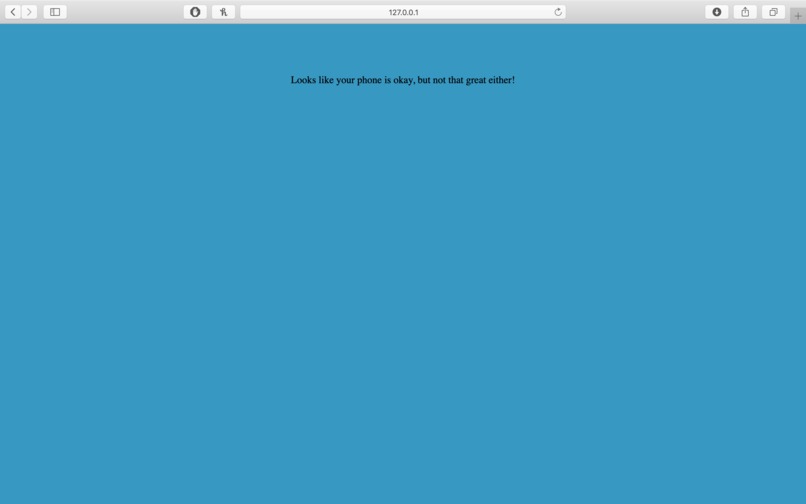 Phone Review Sentiment Analysis – screenshot 4