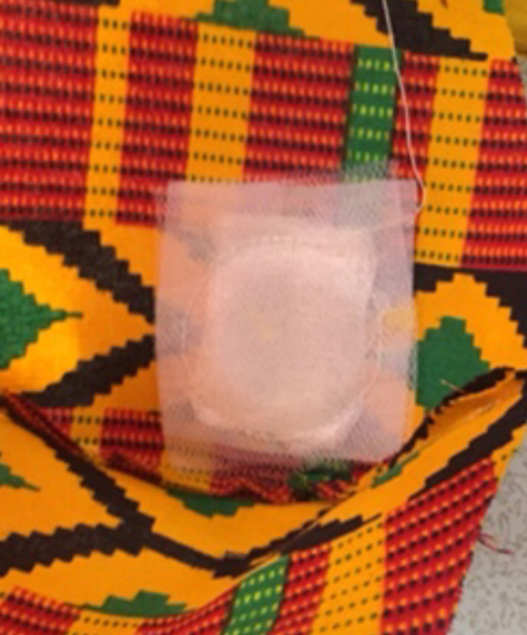 G20 Face Mask – screenshot 6