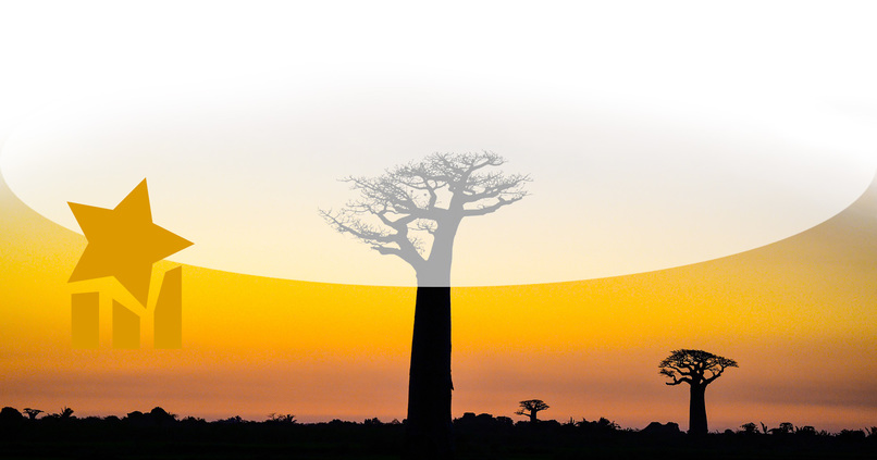 MadaAllStar – screenshot 1