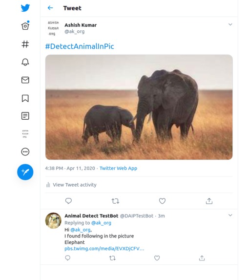 Detect Animals and Birds in Picture – screenshot 4