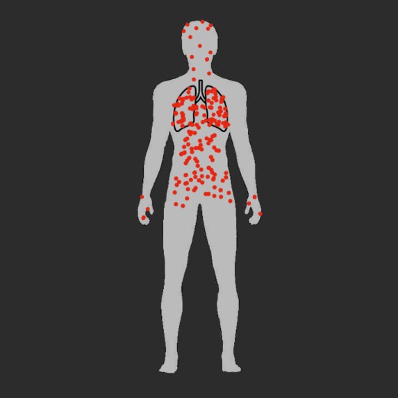 45 Days of the Pandemic – screenshot 1