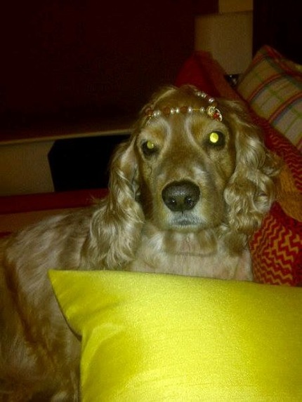 Pixie Dust  – screenshot 13