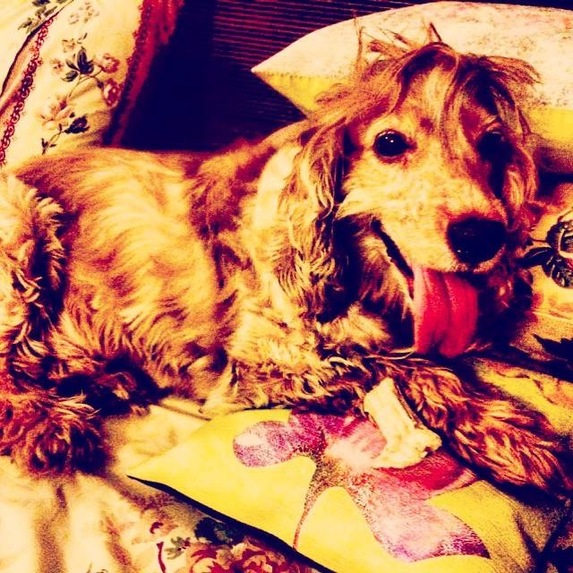 Pixie Dust  – screenshot 12