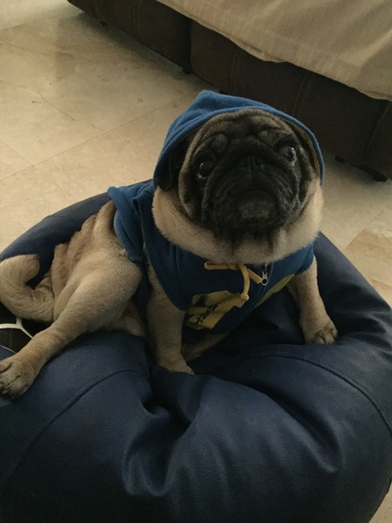 Pixie Dust  – screenshot 16