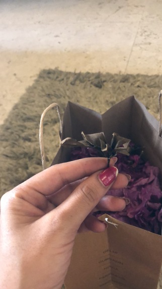 Pixie Dust  – screenshot 23