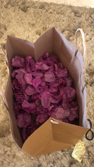 Pixie Dust  – screenshot 21