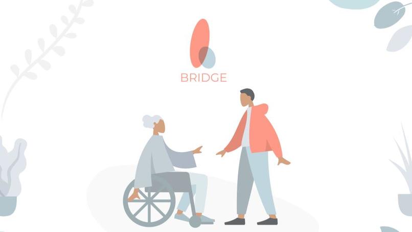 Bridge – screenshot 1