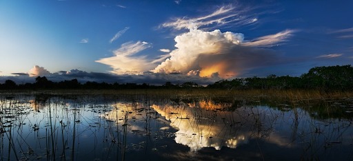 Eco-Tourism & Conservation in the Florida Everglades – screenshot 1