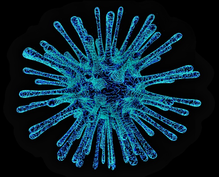 Research platform – screenshot 1