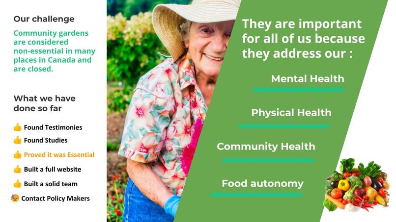 The Green Link (Essential Gardens) – screenshot 3