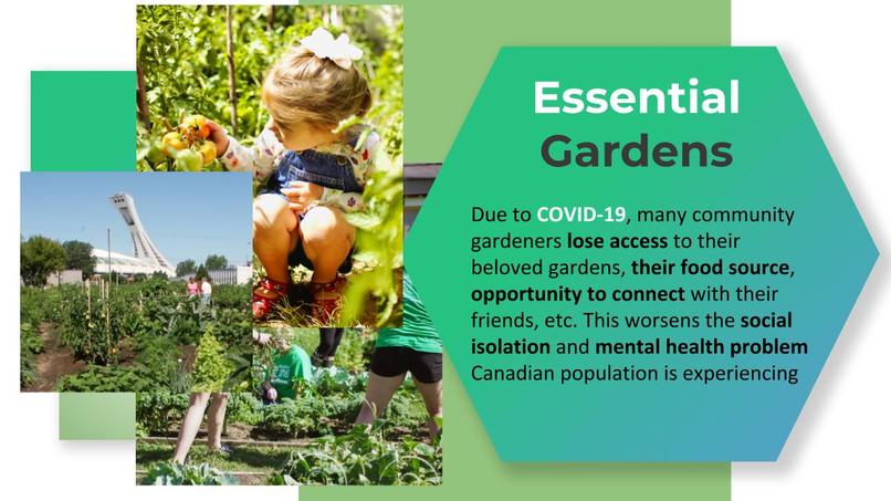 The Green Link (Essential Gardens) – screenshot 1