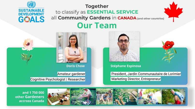 The Green Link (Essential Gardens) – screenshot 2