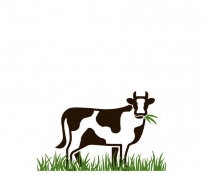 Bseed.OxBonus – screenshot 2