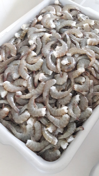 ACUACULTURA SUSTENTABLE – screenshot 2