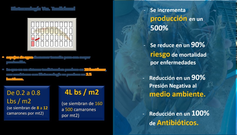 ACUACULTURA SUSTENTABLE – screenshot 5
