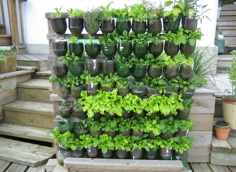 GRANJAS COMUNITARIAS – screenshot 2