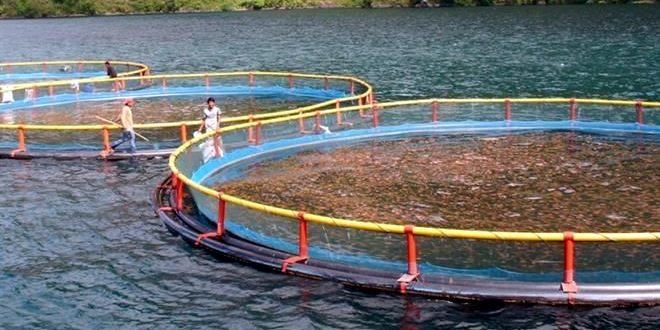 GRANJAS COMUNITARIAS – screenshot 5