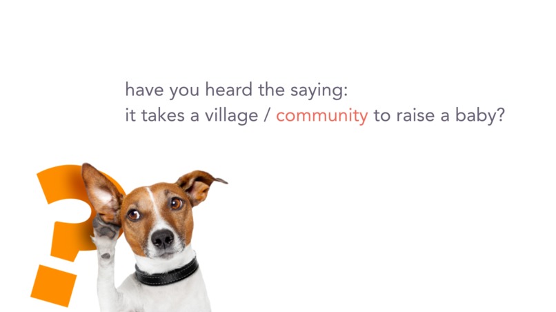 Pawsitive – screenshot 1