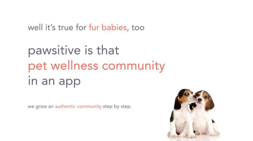 Pawsitive – screenshot 2