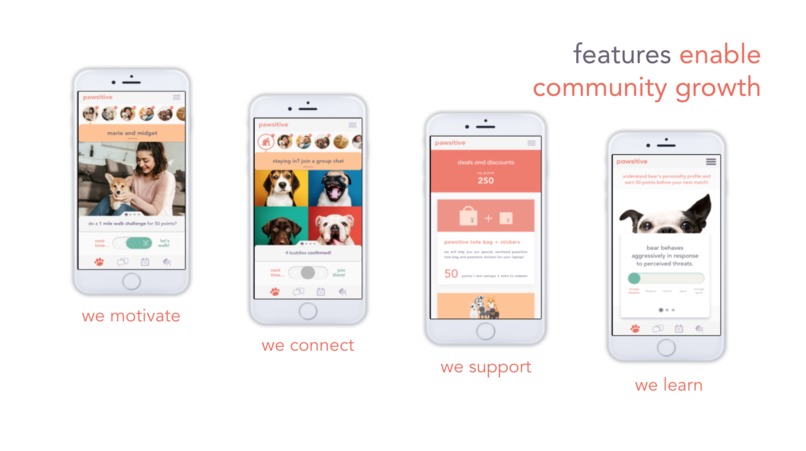 Pawsitive – screenshot 3