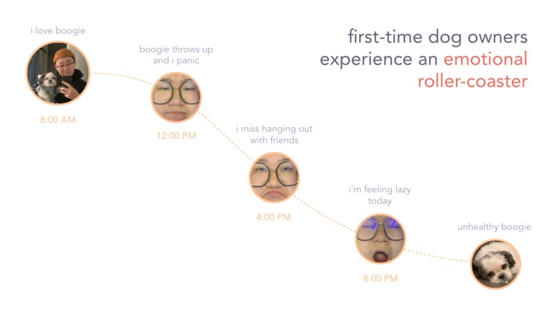 Pawsitive – screenshot 4