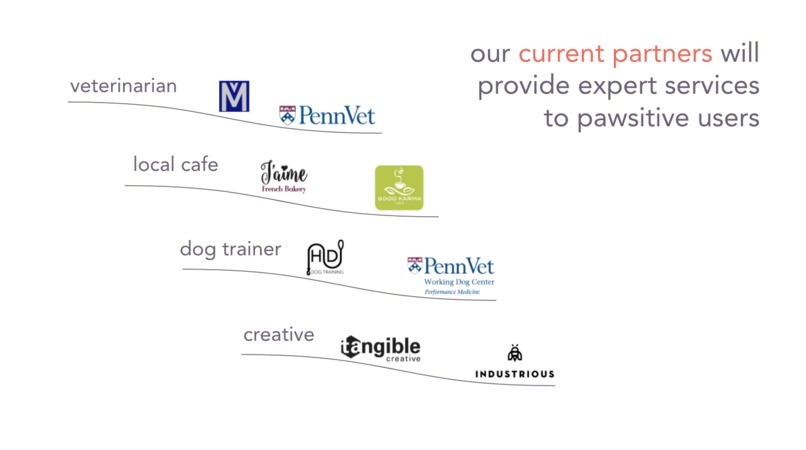 Pawsitive – screenshot 7