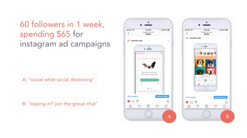 Pawsitive – screenshot 11