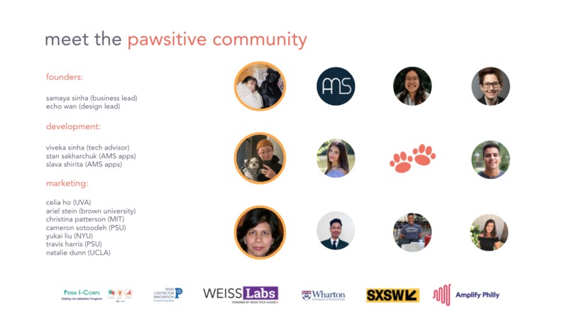 Pawsitive – screenshot 13