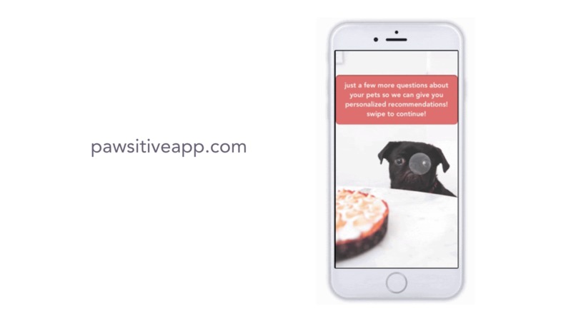 Pawsitive – screenshot 14