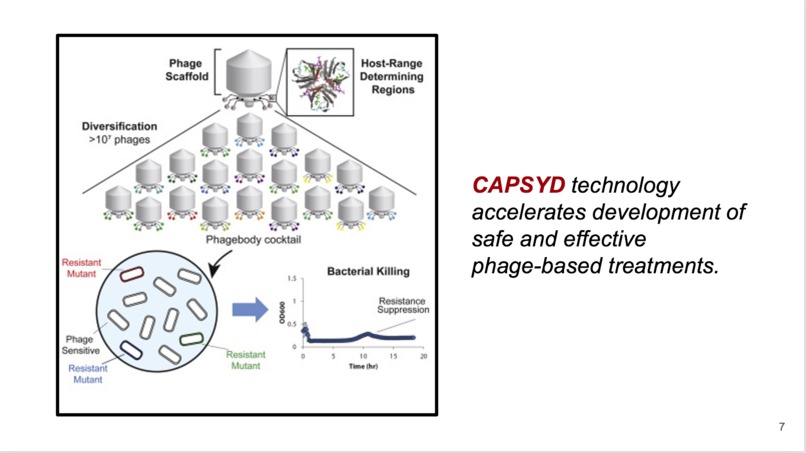 Capsyd – screenshot 7