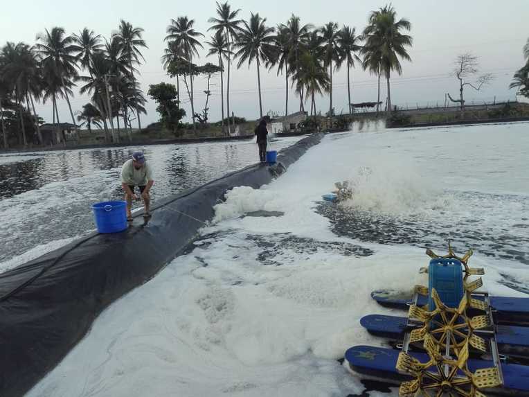 ACUACULTURA SUSTENTABLE – screenshot 1