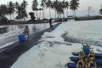 ACUACULTURA SUSTENTABLE