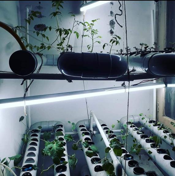 smart farming – screenshot 3