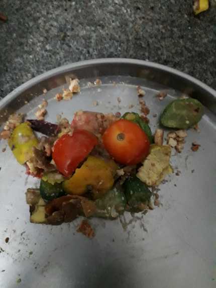 waste food to fodder – screenshot 2