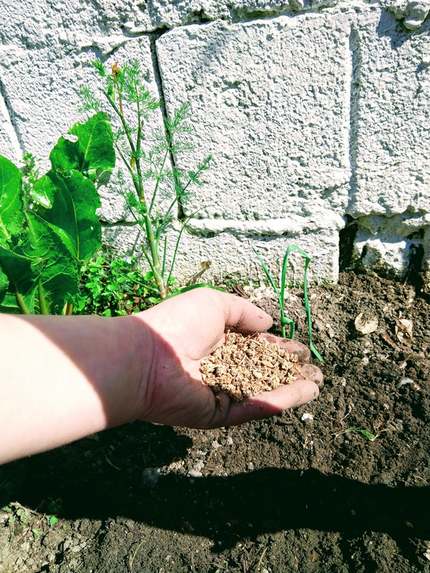 Let's work the land – screenshot 1