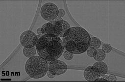 RAPel (Reusable Antiviral Particle eliminator) – screenshot 1