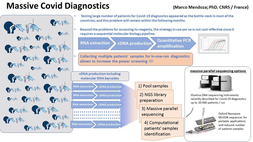 massive_Covid_Diagnostics – screenshot 1