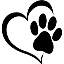 Bir Can/One Life Animal Welfare During Pandemic – screenshot 1