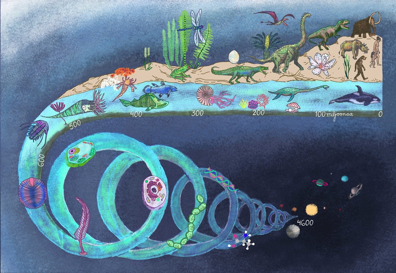 LIFE – screenshot 1