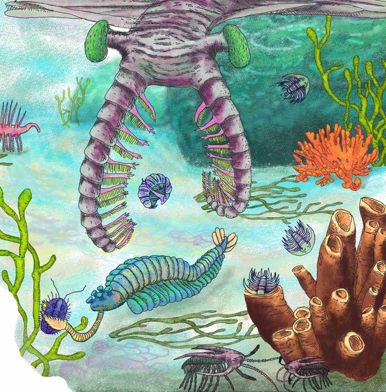 LIFE – screenshot 2