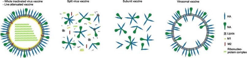 Infrared Vaccination – screenshot 2