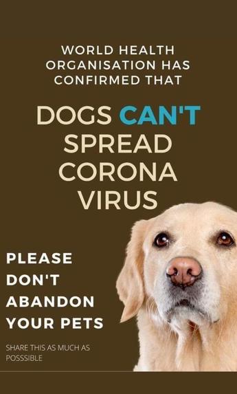 Bir Can/One Life Animal Welfare During Pandemic – screenshot 9