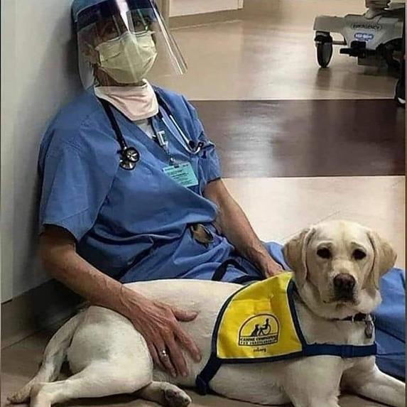 Bir Can/One Life Animal Welfare During Pandemic – screenshot 15