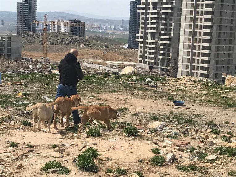 Bir Can/One Life Animal Welfare During Pandemic – screenshot 12